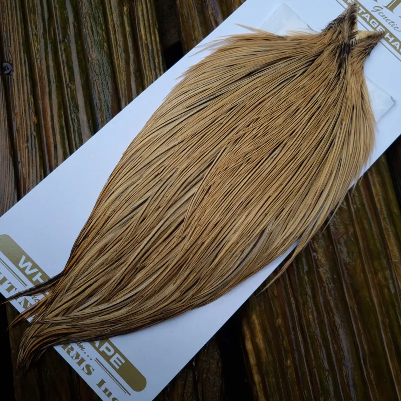 Whiting Heritage Hackles Rooster Cape in Mixed Colours C Golden Badger-3