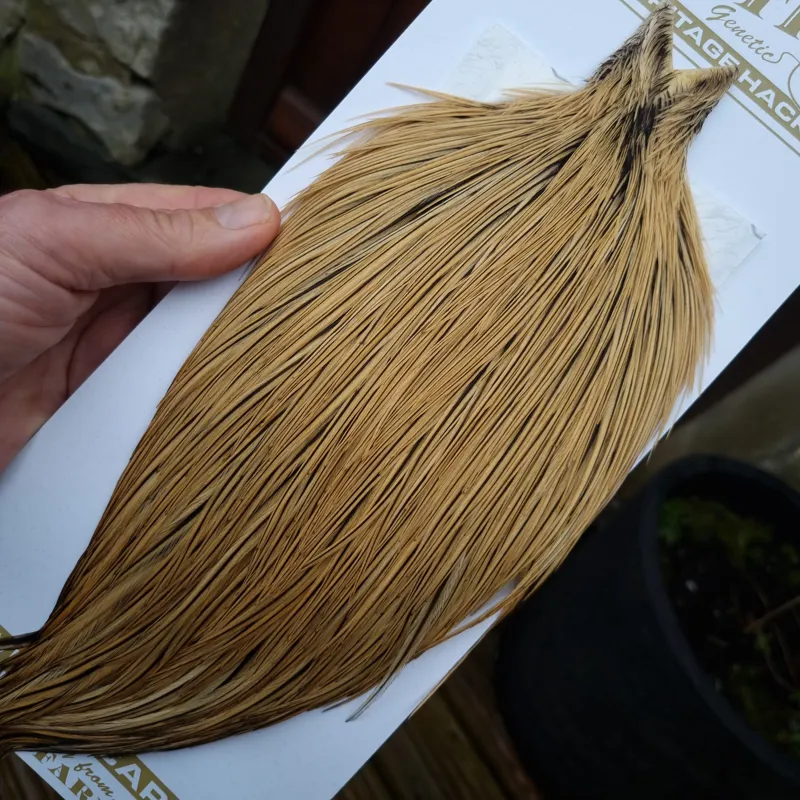 Whiting Heritage Hackles Rooster Cape in Mixed Colours C Golden Badger