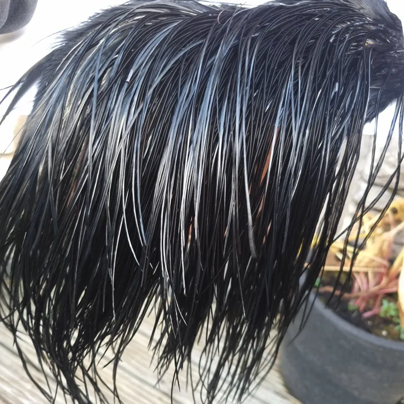 Whiting Pro-Grade Midge Rooster Saddle in Black C Approx Tying Sizes Few 14 and Stuffed with 16/18/20/22 with a few going a little smaller-4