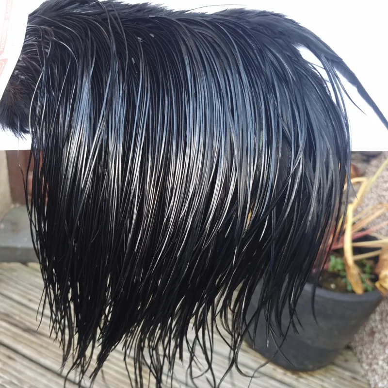 Whiting Pro-Grade Midge Rooster Saddle in Black C Approx Tying Sizes Few 14 and Stuffed with 16/18/20/22 with a few going a little smaller-6