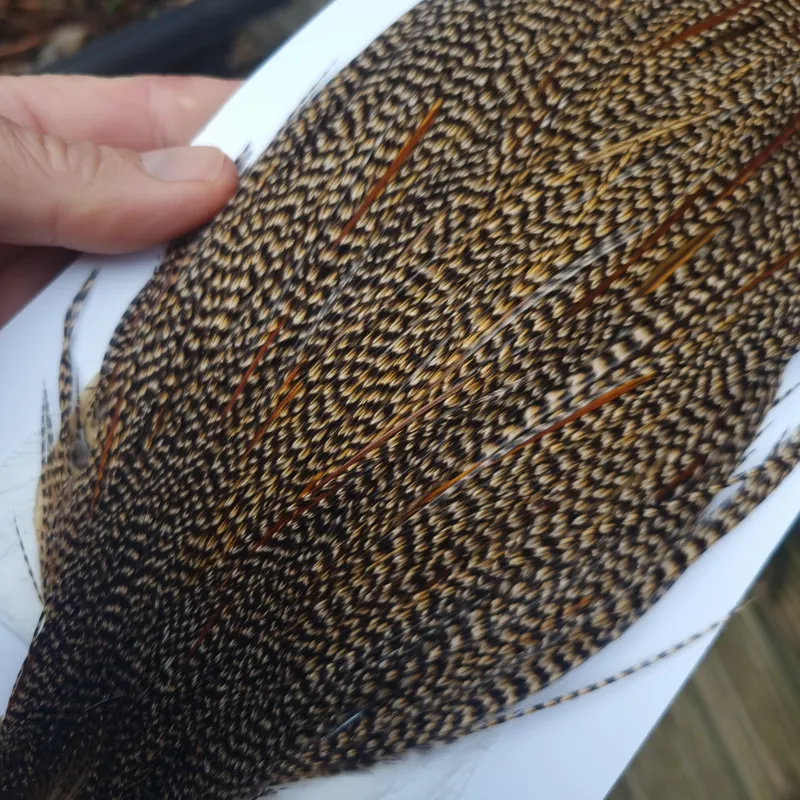 Whiting Heritage Hackles Rooster Cape in Mixed Colours Classic CREE with  a Light Splashing of Furnace Hackles A -7