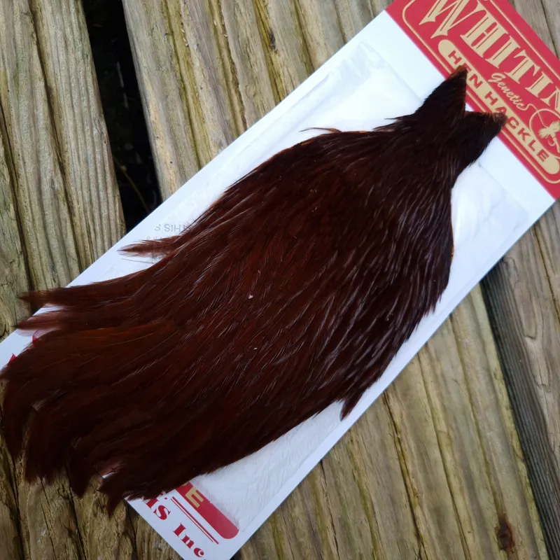 Whiting Hen Cape in White Dyed Coachman Brown Dark Red Game B