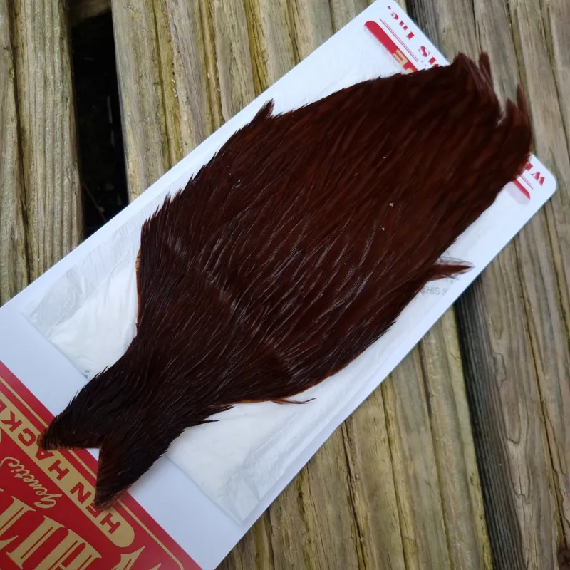 Whiting Hen Cape in White Dyed Coachman Brown Dark Red Game B-1