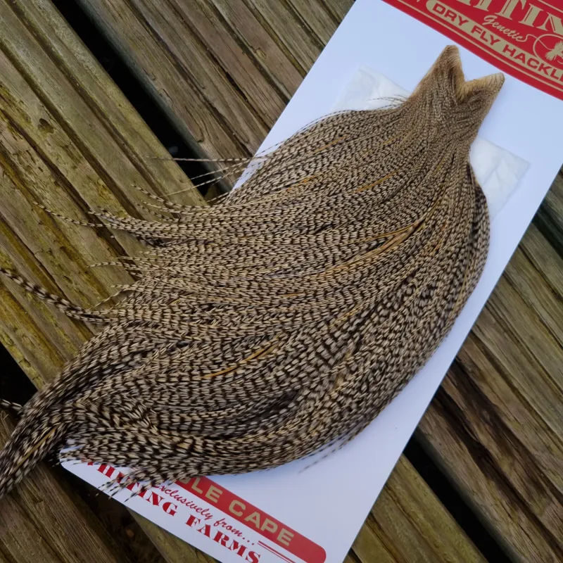 Whiting Commercial Grade Dry Fly Cape in GRIZZLY VARIANT A