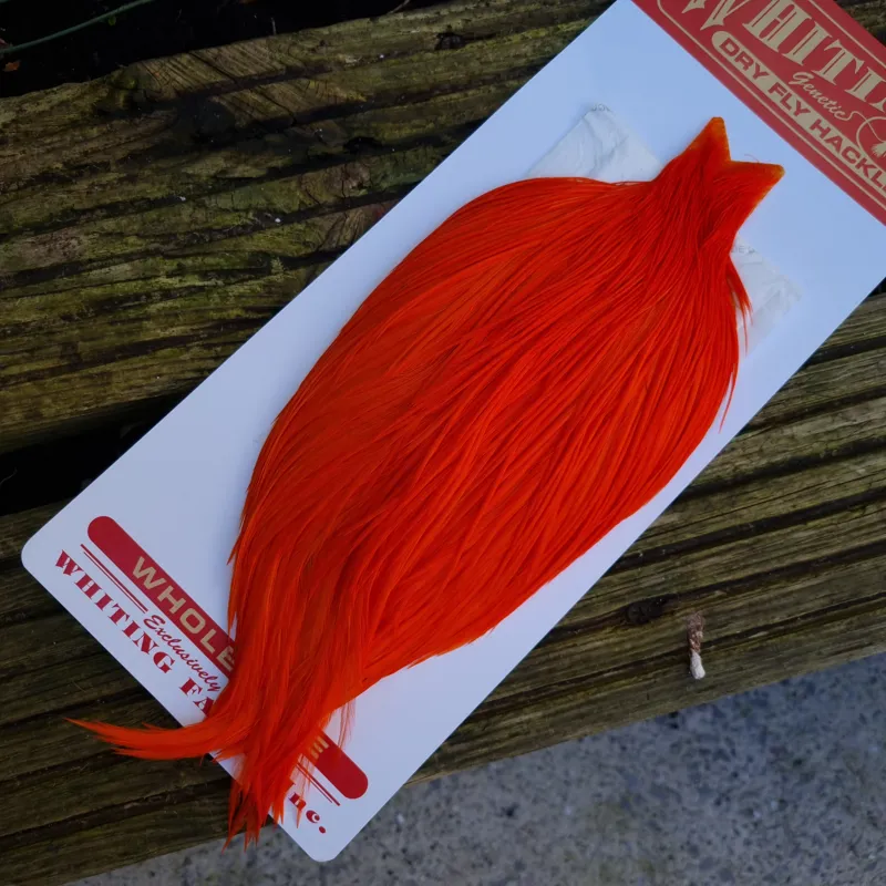 Whiting Commercial Grade Dry Fly Cape in Hi Vis Orange A-1