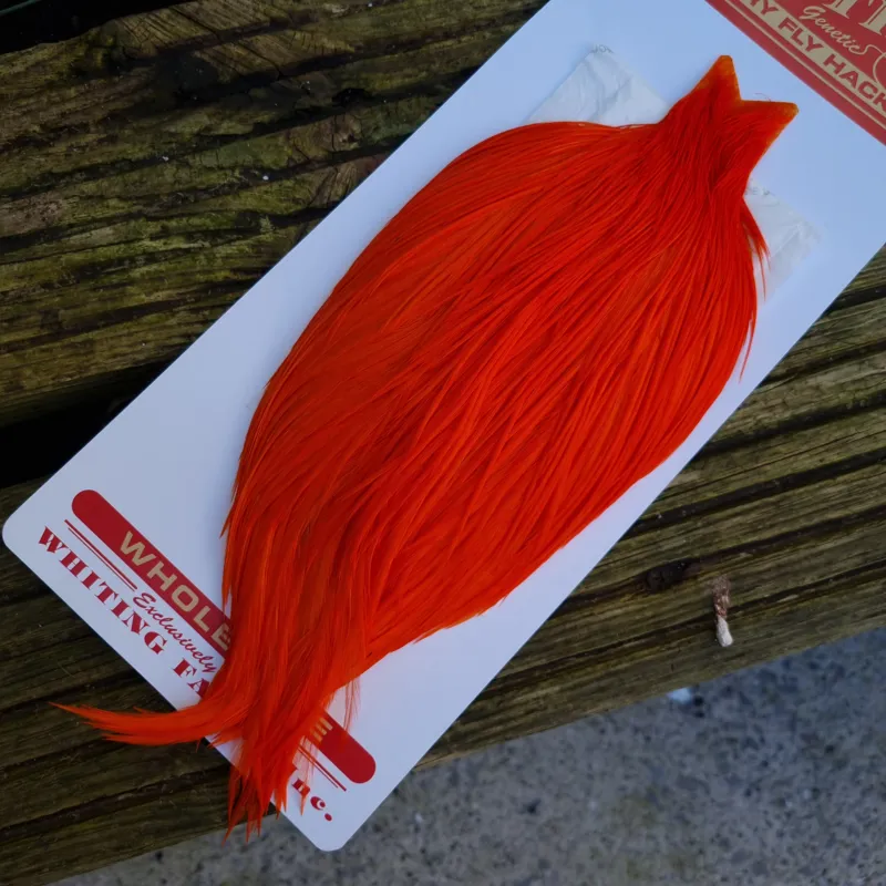 Whiting Commercial Grade Dry Fly Cape in Hi Vis Orange A-3