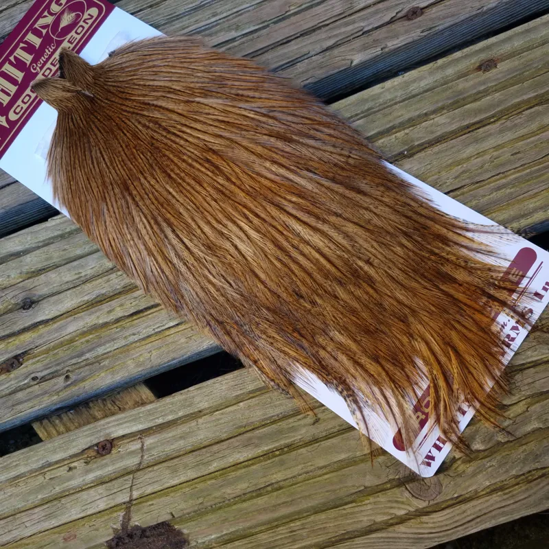 Whiting Coq de Leon Rooster Cape in Ginger Pardo A-1