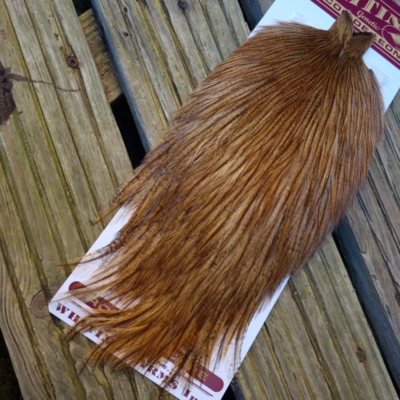 Whiting Coq de Leon Rooster Cape in Ginger Pardo A