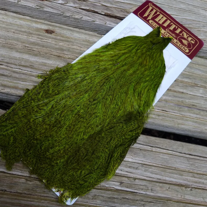 Whiting Coq de Leon Hen Cape in Speckled Fl.Green Chartreuse-2