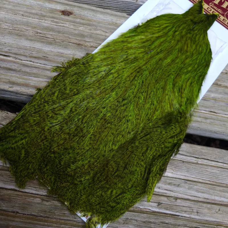 Whiting Coq de Leon Hen Cape in Speckled Fl.Green Chartreuse