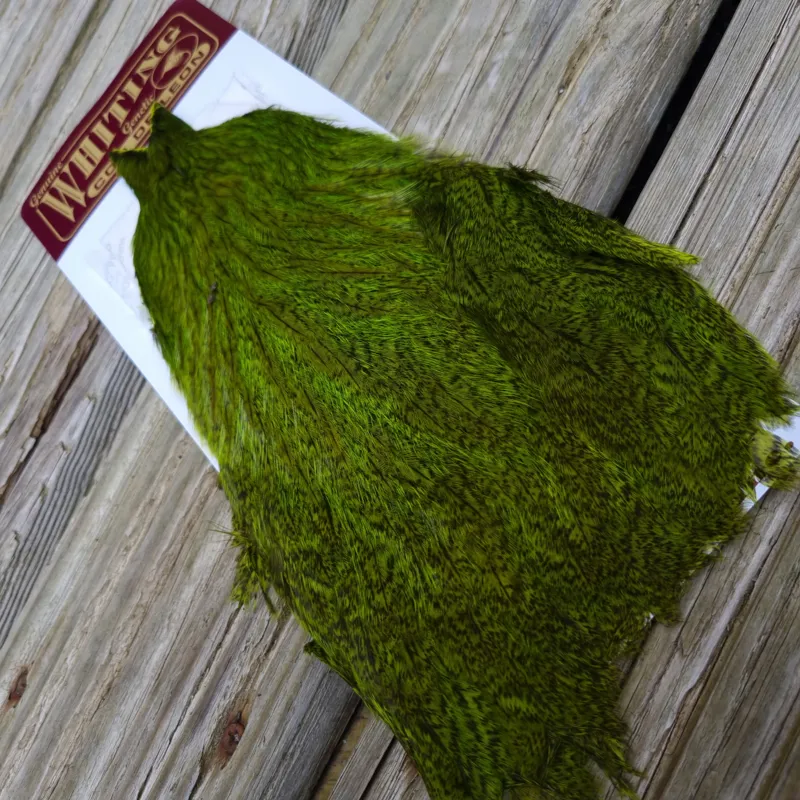 Whiting Coq de Leon Hen Cape in Speckled Fl.Green Chartreuse-3