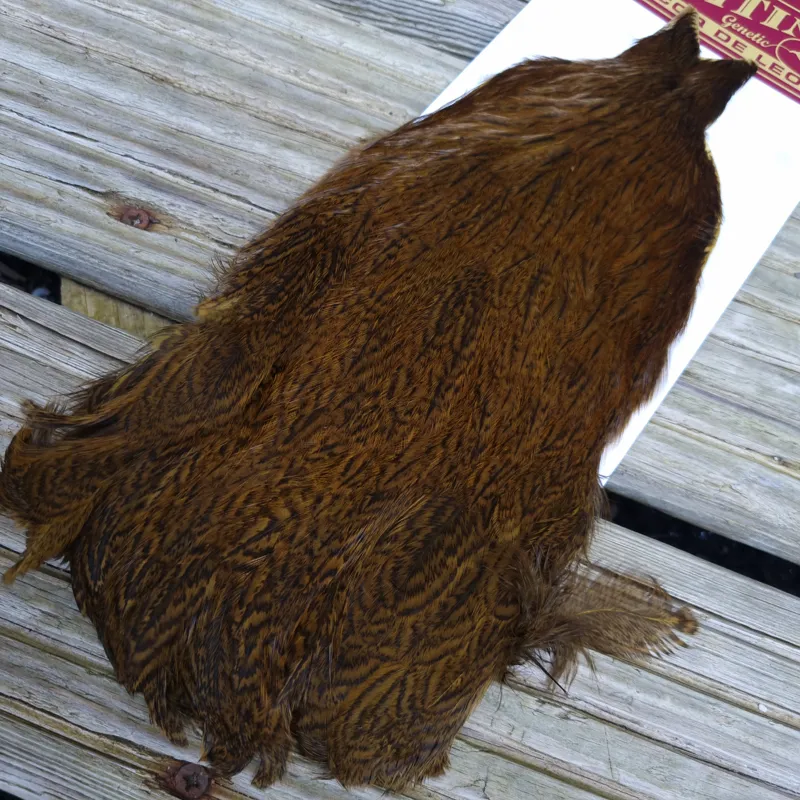 Whiting Coq de Leon Hen Cape in Speckled Golden Olive-2