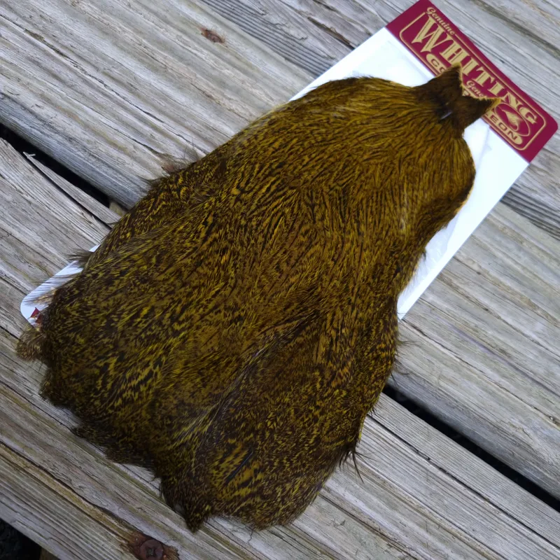 Whiting Coq de Leon Hen Cape in Speckled Yellow-3