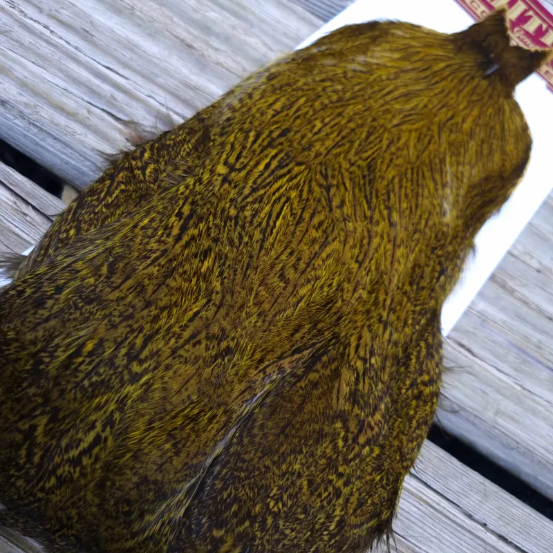 Whiting Coq de Leon Hen Cape in Speckled Yellow-1