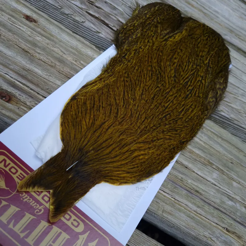 Whiting Coq de Leon Hen Cape in Speckled Yellow-2