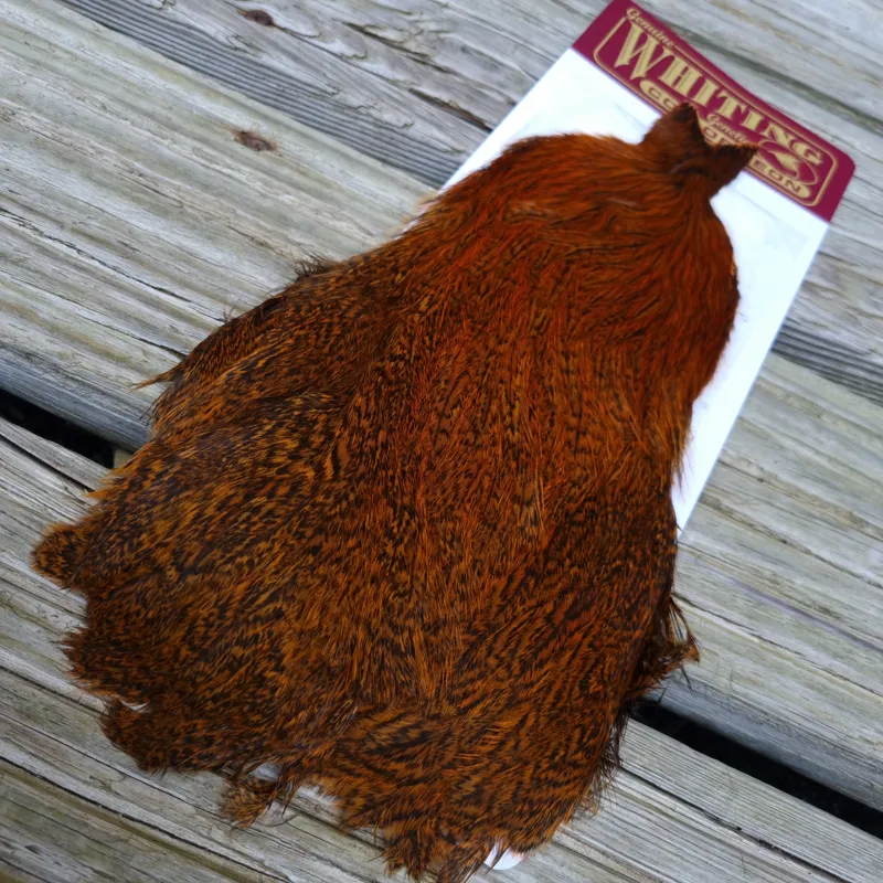 Whiting Coq de Leon Hen Cape in Speckled Burnt Orange-3