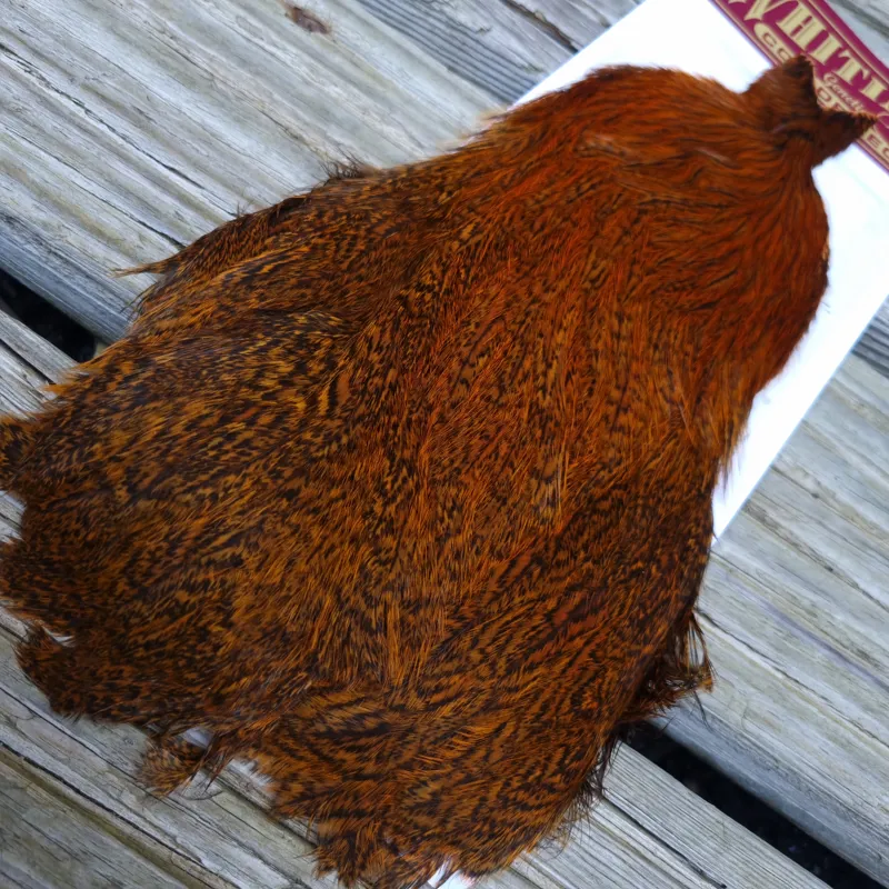 Whiting Coq de Leon Hen Cape in Speckled Burnt Orange