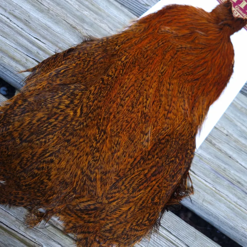 Whiting Coq de Leon Hen Cape in Speckled Burnt Orange-2