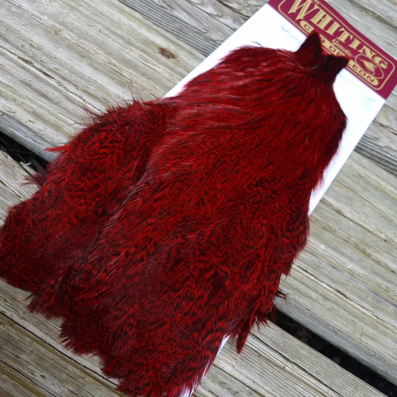 Whiting Coq de Leon Hen Cape in Speckled Red
