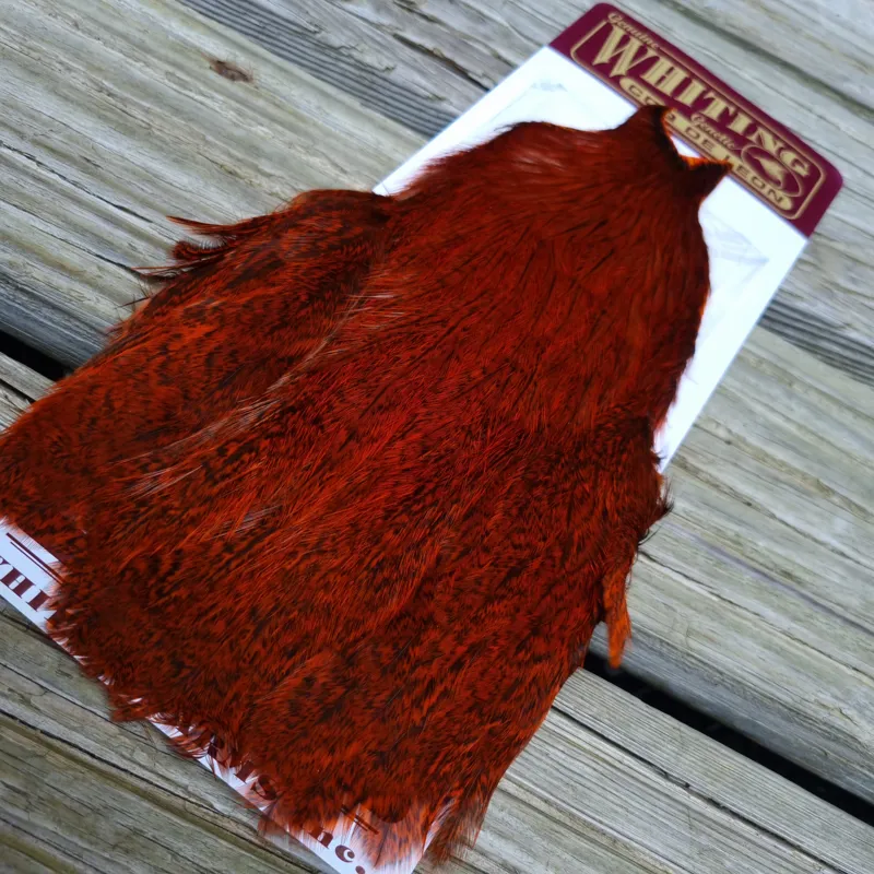 Whiting Coq de Leon Hen Cape in Speckled Orange-2