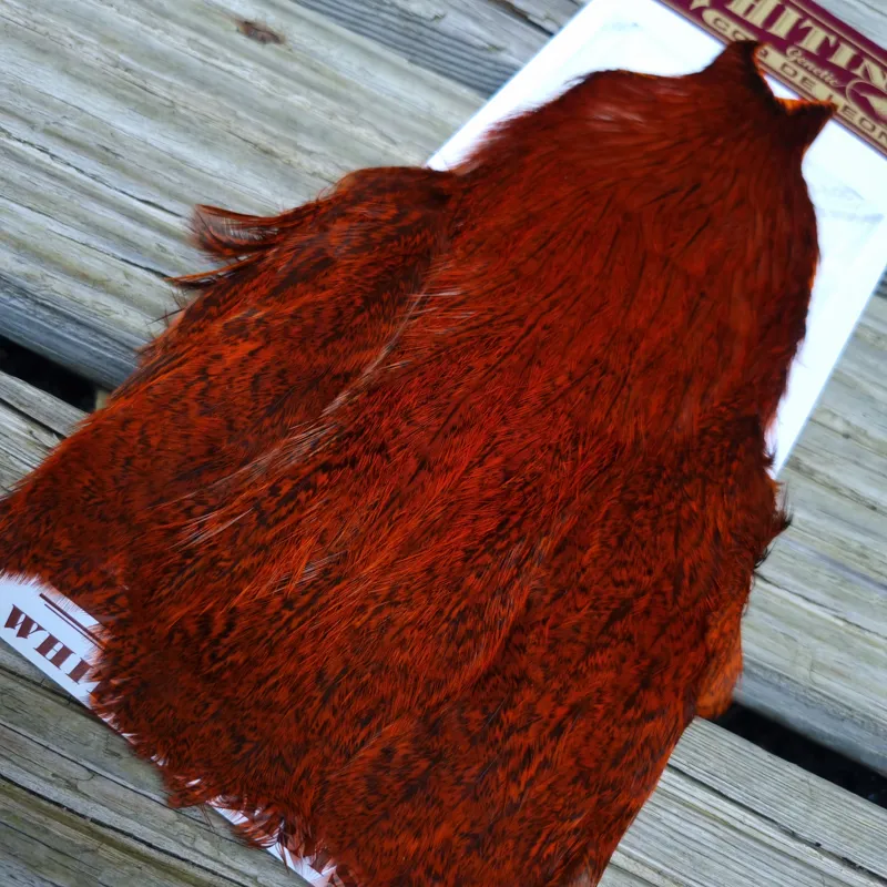 Whiting Coq de Leon Hen Cape in Speckled Orange