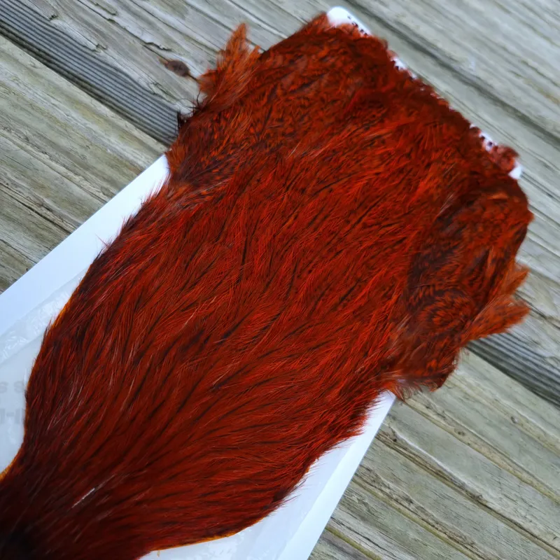 Whiting Coq de Leon Hen Cape in Speckled Orange-1