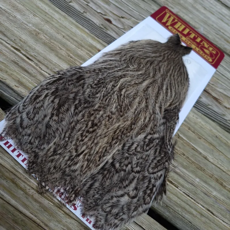 Whiting Coq de Leon Hen Cape in Silver Speckled-1