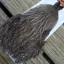 Whiting Coq de Leon Hen Cape in Silver Speckled