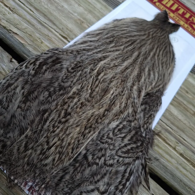 Whiting Coq de Leon Hen Cape in Silver Speckled-3