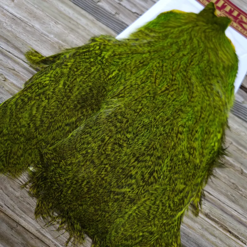 Whiting Coq de Leon Hen Cape in Speckled Fl.Yellow Chartreuse-1