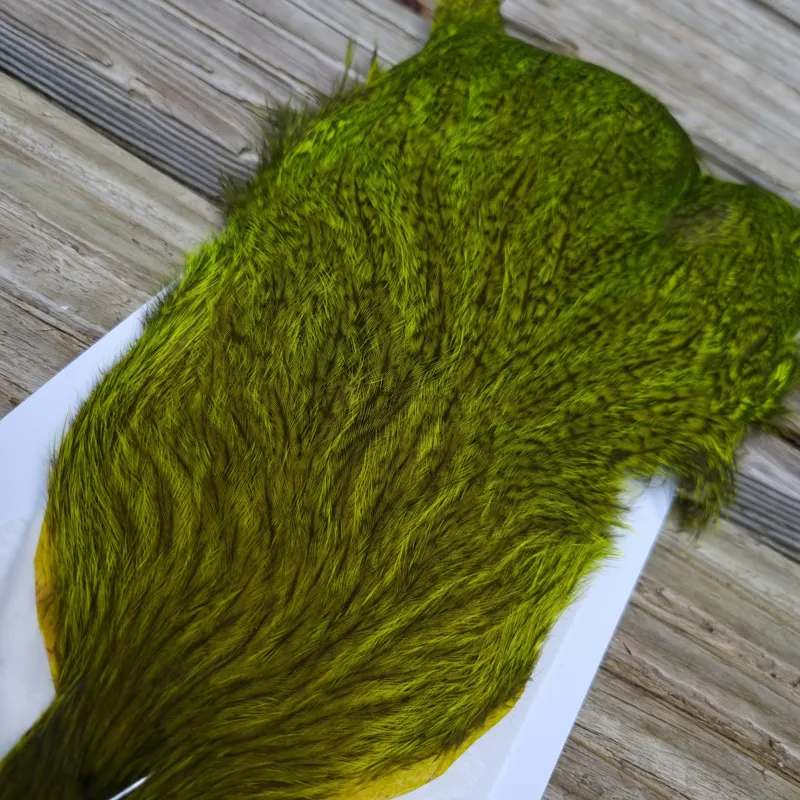 Whiting Coq de Leon Hen Cape in Speckled Fl.Yellow Chartreuse-3