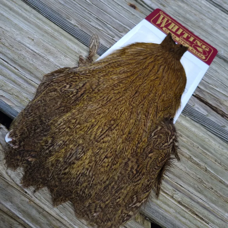 Whiting Coq de Leon Hen Cape in Speckled Copper Olive-3