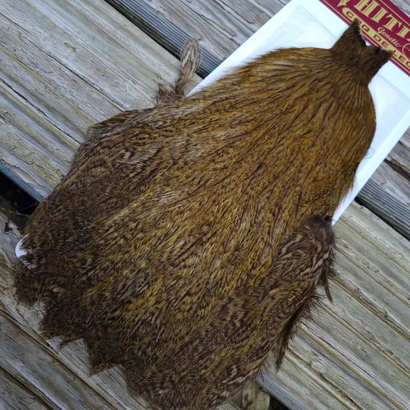 Whiting Coq de Leon Hen Cape in Speckled Copper Olive