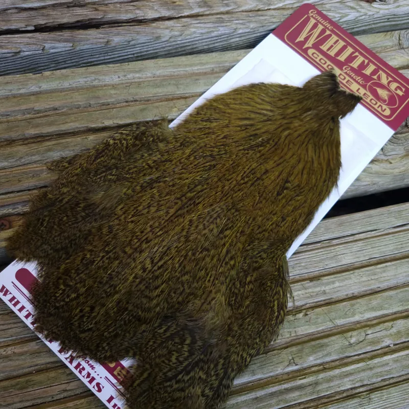 Whiting Coq de Leon Hen Cape in Speckled Olive