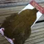 Whiting Coq de Leon Hen Cape in Speckled Olive