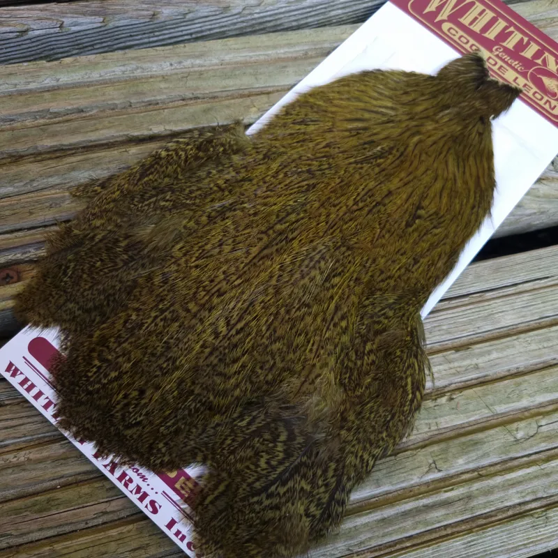 Whiting Coq de Leon Hen Cape in Speckled Olive-2