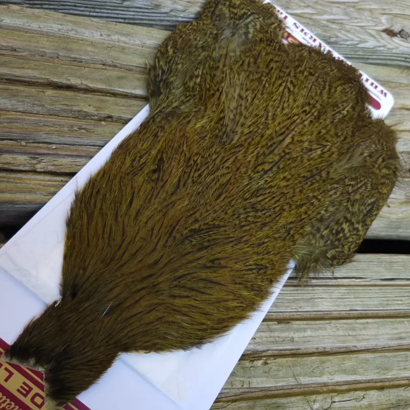 Whiting Coq de Leon Hen Cape in Speckled Olive-1