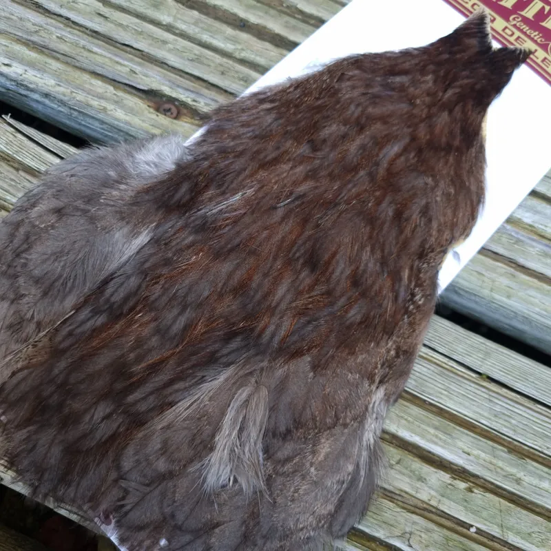 Whiting Coq de Leon Hen Cape in Unique Variant B-1