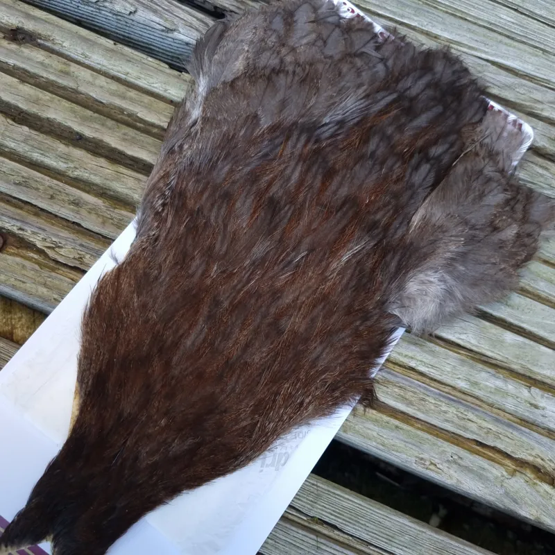 Whiting Coq de Leon Hen Cape in Unique Variant B-2