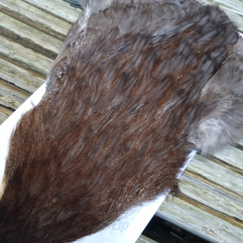 Whiting Coq de Leon Hen Cape in Unique Variant B-3