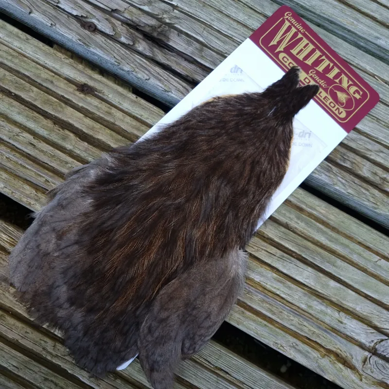 Whiting Coq de Leon Hen Cape in Unique Variant E