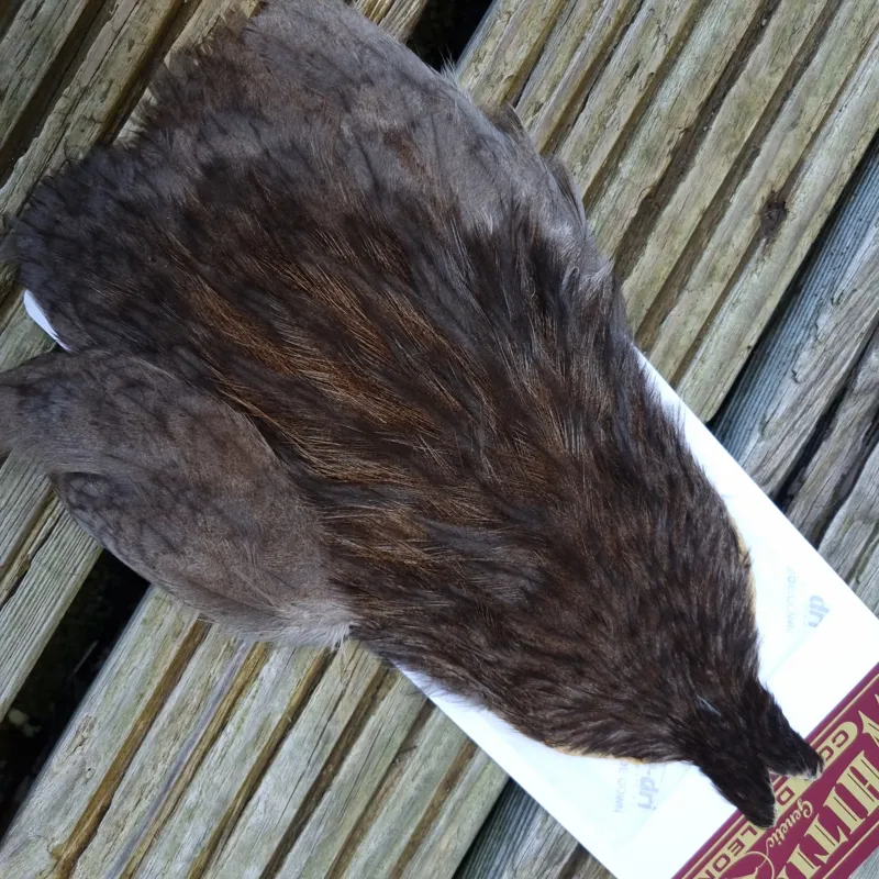 Whiting Coq de Leon Hen Cape in Unique Variant E-1