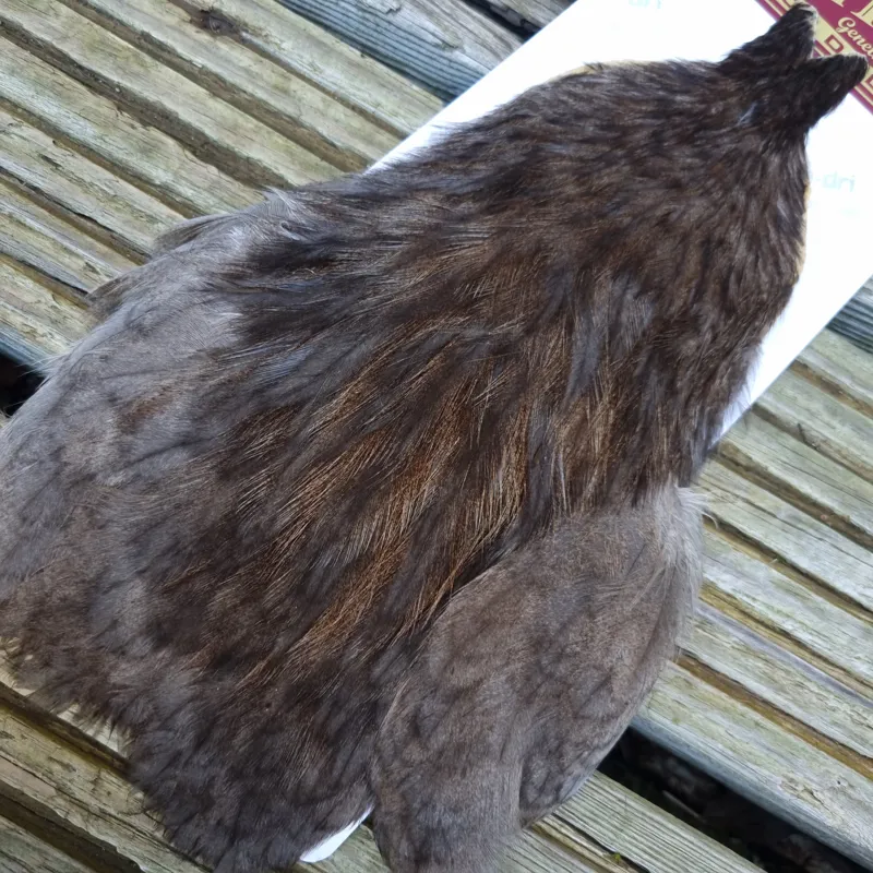 Whiting Coq de Leon Hen Cape in Unique Variant E-2