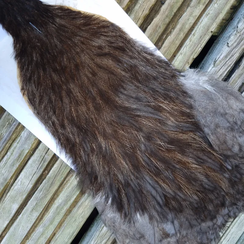 Whiting Coq de Leon Hen Cape in Unique Variant E-4