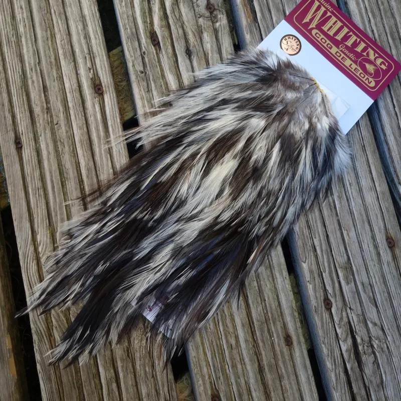 Whiting Coq de Leon Silver Grade Rooster Saddle in Unique Variant A-1