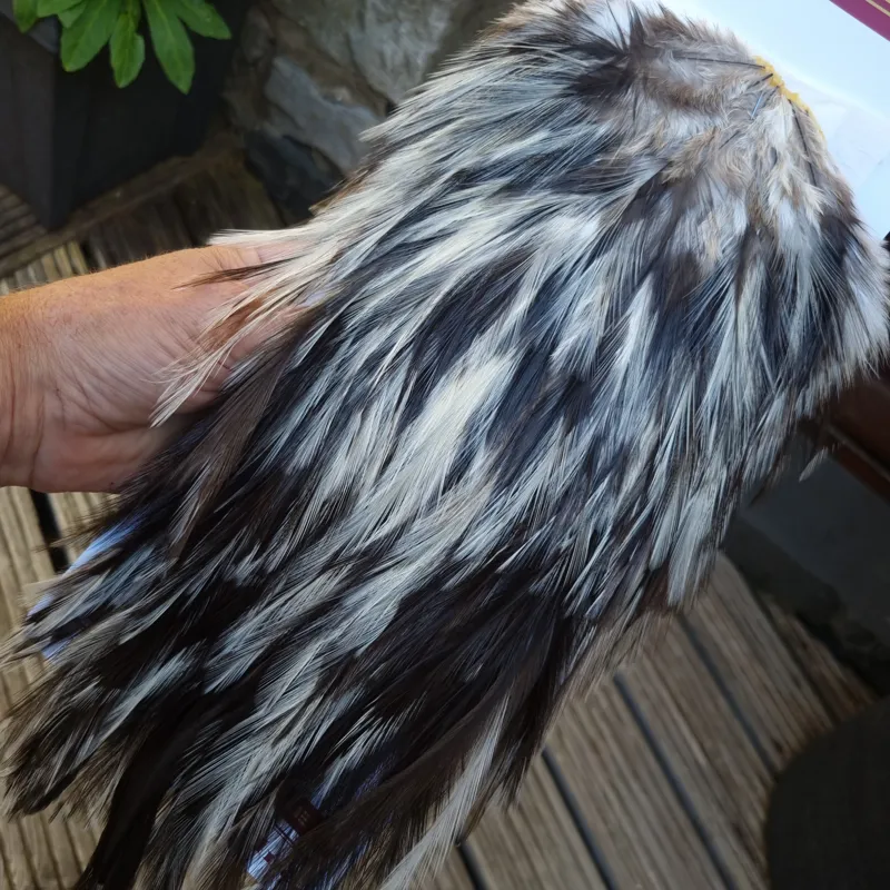 Whiting Coq de Leon Silver Grade Rooster Saddle in Unique Variant A-3