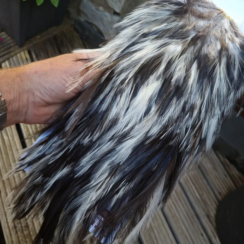 Whiting Coq de Leon Silver Grade Rooster Saddle in Unique Variant A