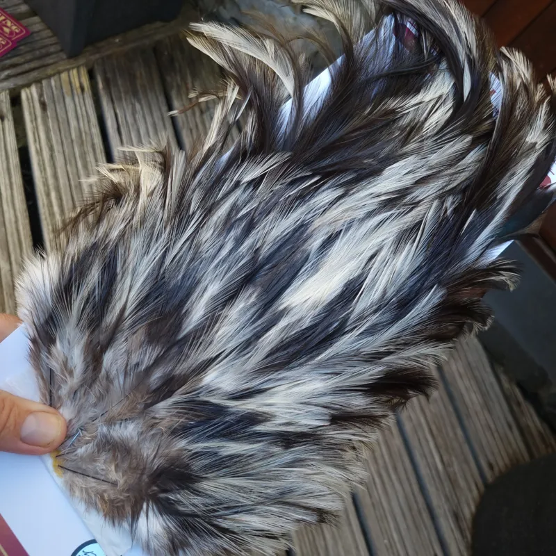 Whiting Coq de Leon Silver Grade Rooster Saddle in Unique Variant A-4