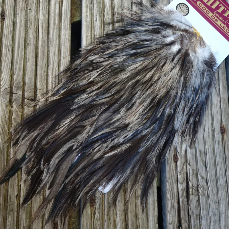 Whiting Coq de Leon Silver Grade Rooster Saddle in Unique Variant B-4