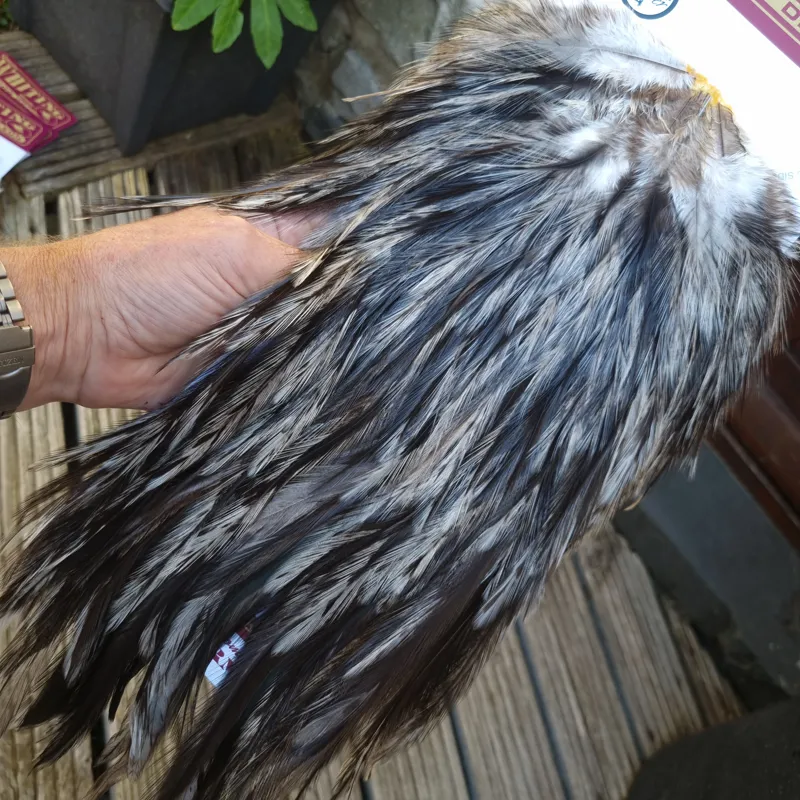 Whiting Coq de Leon Silver Grade Rooster Saddle in Unique Variant B-2